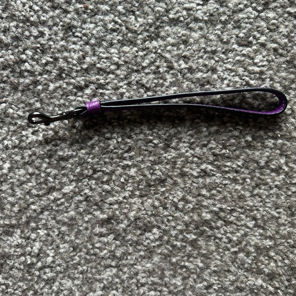 *RARE* Rexy and Carriage Rainbow Sadie Crossbody Bag with Rainbow Strap - Picture 7 of 14